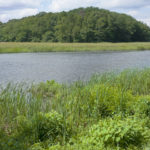 Permalink to Exhibition Note: Viewing the River James Welling 8147
