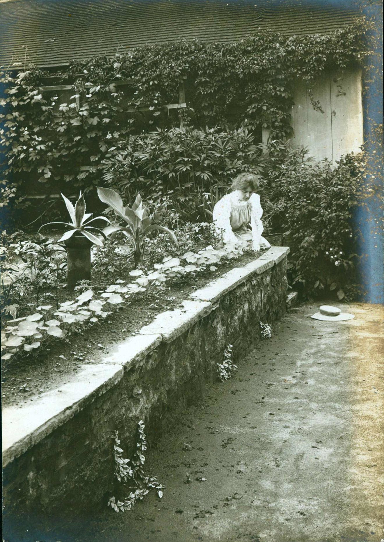 Photographs Painted Gardens, Part 2—The Ludington Estate Florence