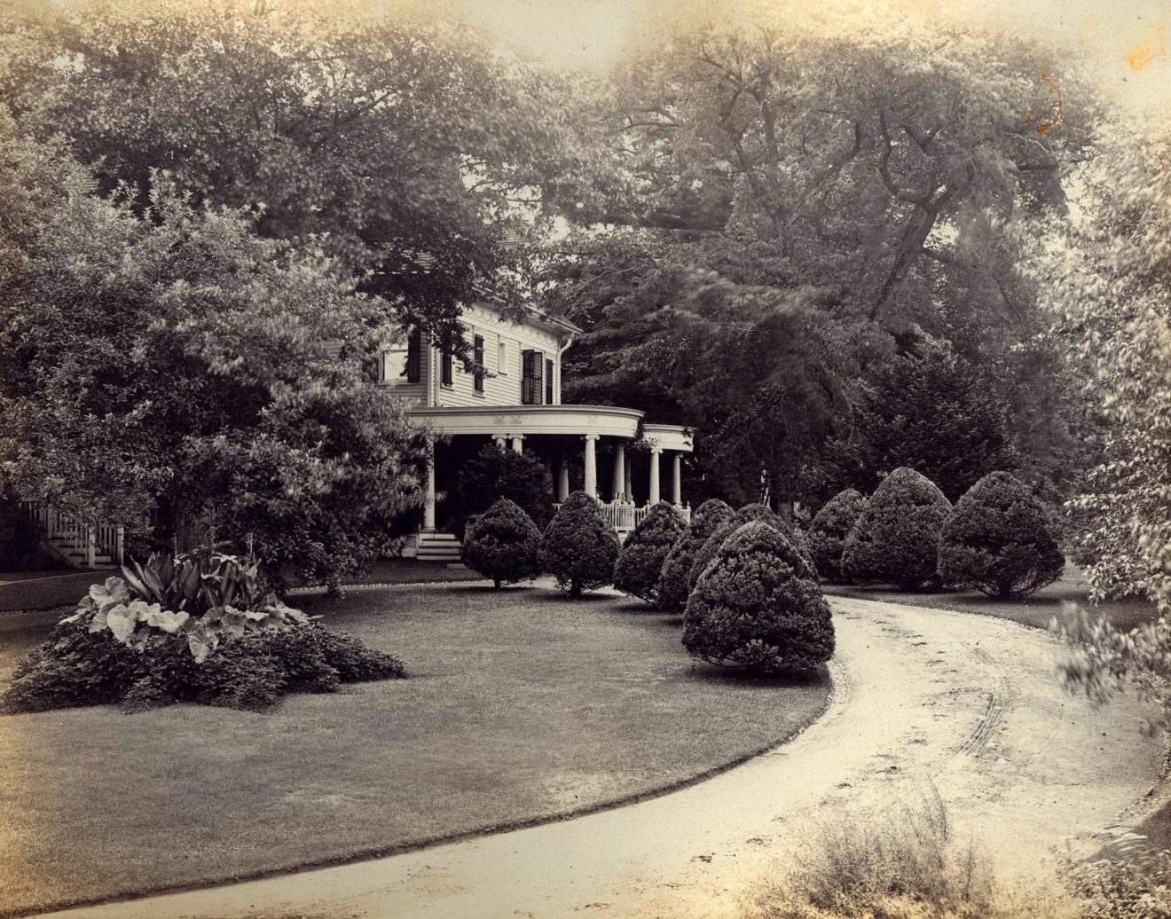 Photographs Painted Gardens, Part 2—The Ludington Estate Florence
