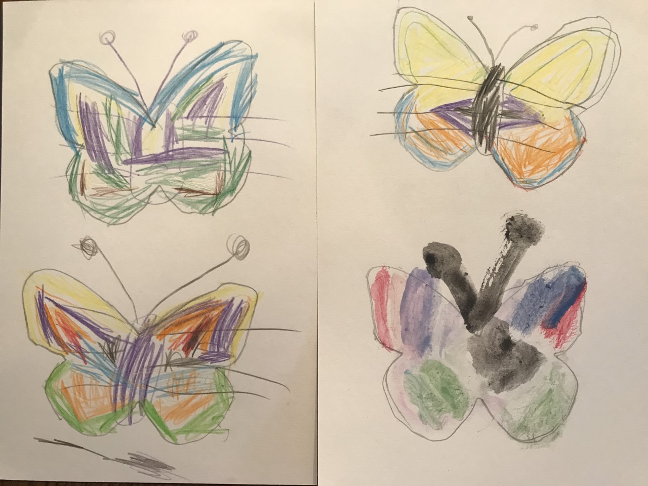 Eli was especially inspired by the butterflies!