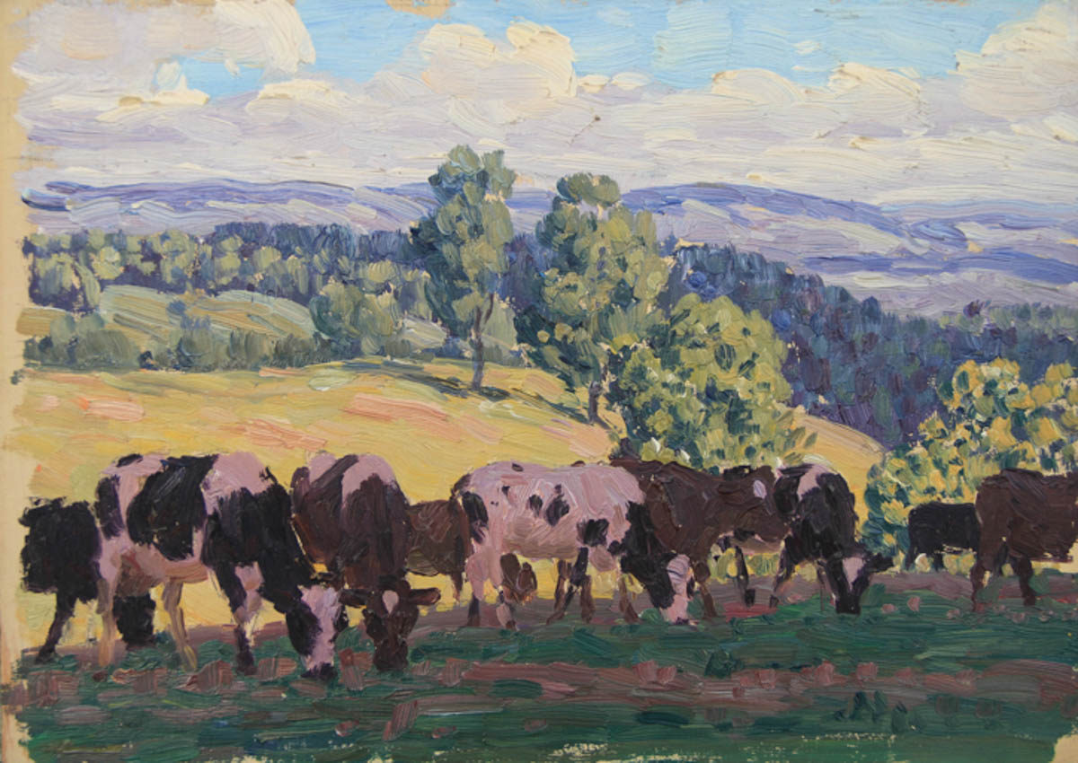 Untitled [Holsteins and Guernseys grazing in shade on hill]