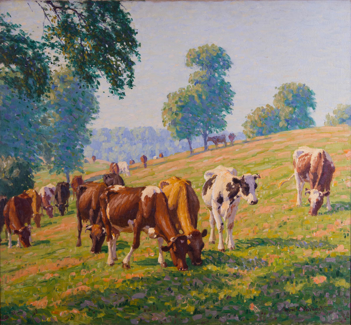 Untitled [Cows grazing in sloping pasture]