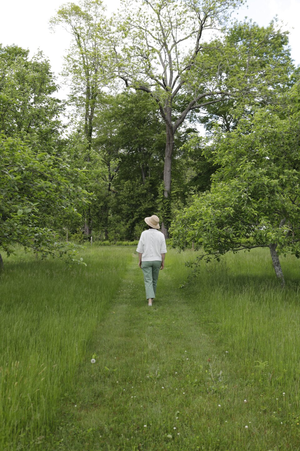 MINDFULNESS EVENT: Forest Bathing Along the Artists' Trail - Florence ...