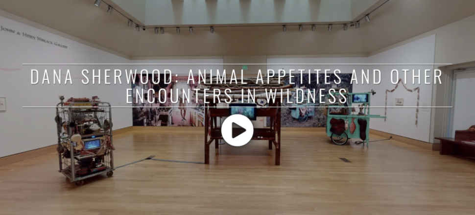 Dana Sherwood: Animal Appetites and Other Encounters in Wildness
